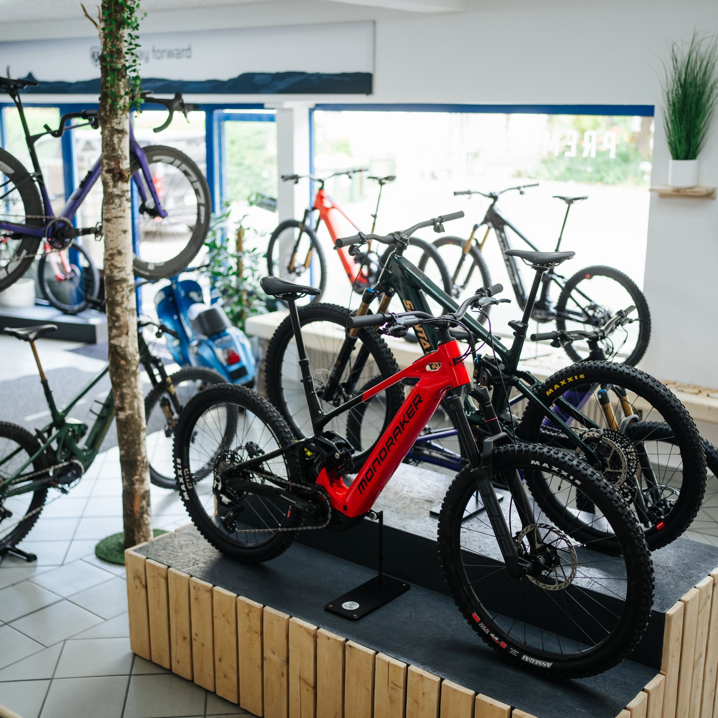 Shop Ansicht