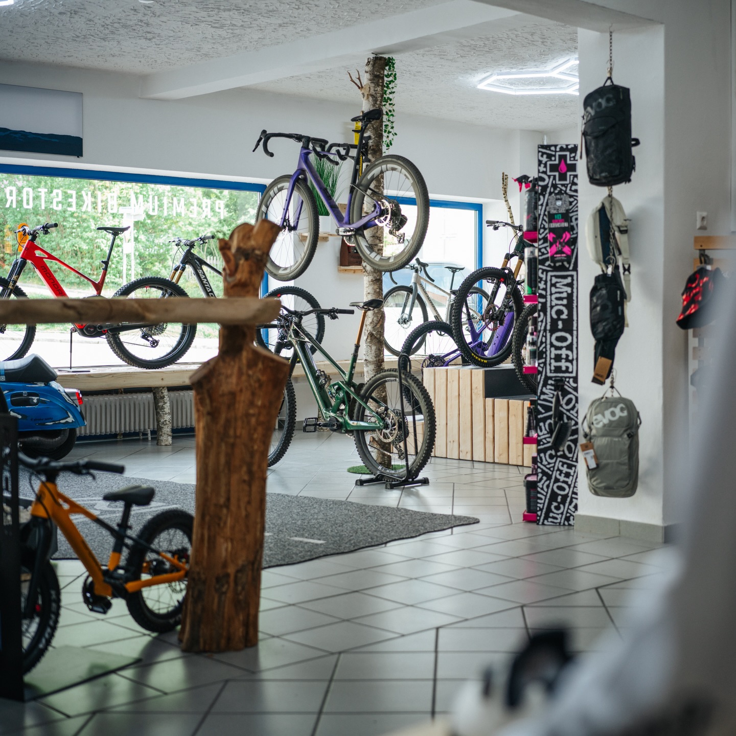 Shop Ansicht