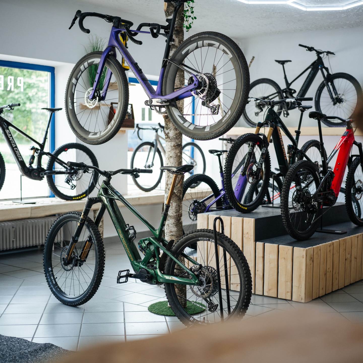 Shop Ansicht